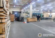 Смерть під колесами навантажувача: деталі трагедії на підприємстві біля Рівного Смерть під колесами навантажувача