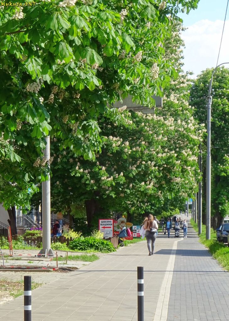 Погода 20 травня: Рівненщину накриють короткочасні дощі й грози 1 Грушевського рівне