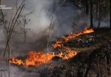 Масштабна пожежа у Чорнобильській Зоні відчуження Масштабна пожежа у Чорнобильській Зоні відчуження