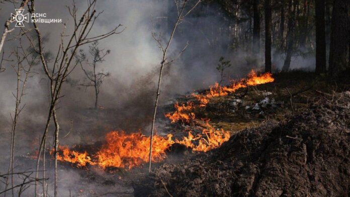 Масштабна пожежа у Чорнобильській Зоні відчуження Масштабна пожежа у Чорнобильській Зоні відчуження