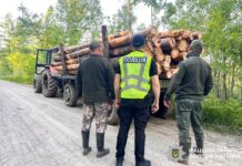 На Рокитнівщині поліцейські виявили незаконну порубку лісу незаконну порубку лісу