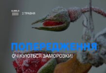 Жителів Рівненської області попереджають про заморозки Заморозки на Рівненщині