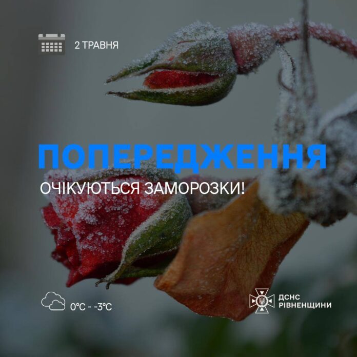 Заморозки на Рівненщині Заморозки на Рівненщині