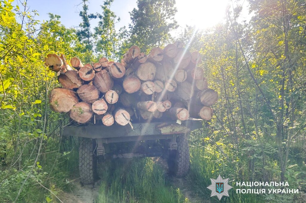 На Рокитнівщині поліцейські виявили незаконну порубку лісу 1