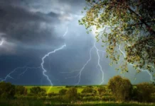 Погода у Рівному та області 12 травня Погода у Рівному та області 12 травня