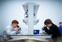 138 млн грн виділено для шкіл Рівненщини Понад 138 млн грн виділив Уряд на створення сучасного освітнього простору у школах Рівненщини