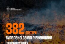 Від початку року на Рівненщині сталося 652 пожежі в екосистемах Пожежі в екосистемах