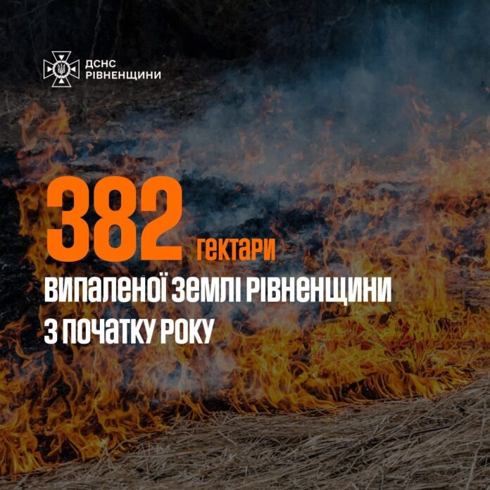 Пожежі в екосистемах Пожежі в екосистемах