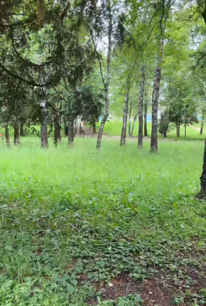 Оновлять сквер імені Віктора Чайки у Рівному Оновлять сквер імені Віктора Чайки у Рівному