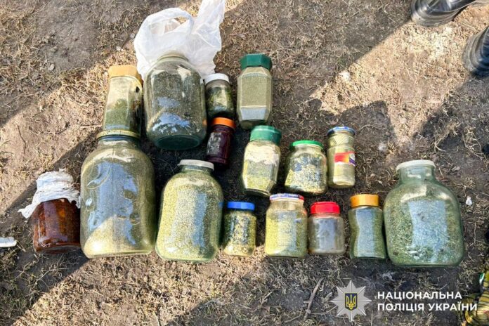 На Рівненщині судитимуть дилера канабісу