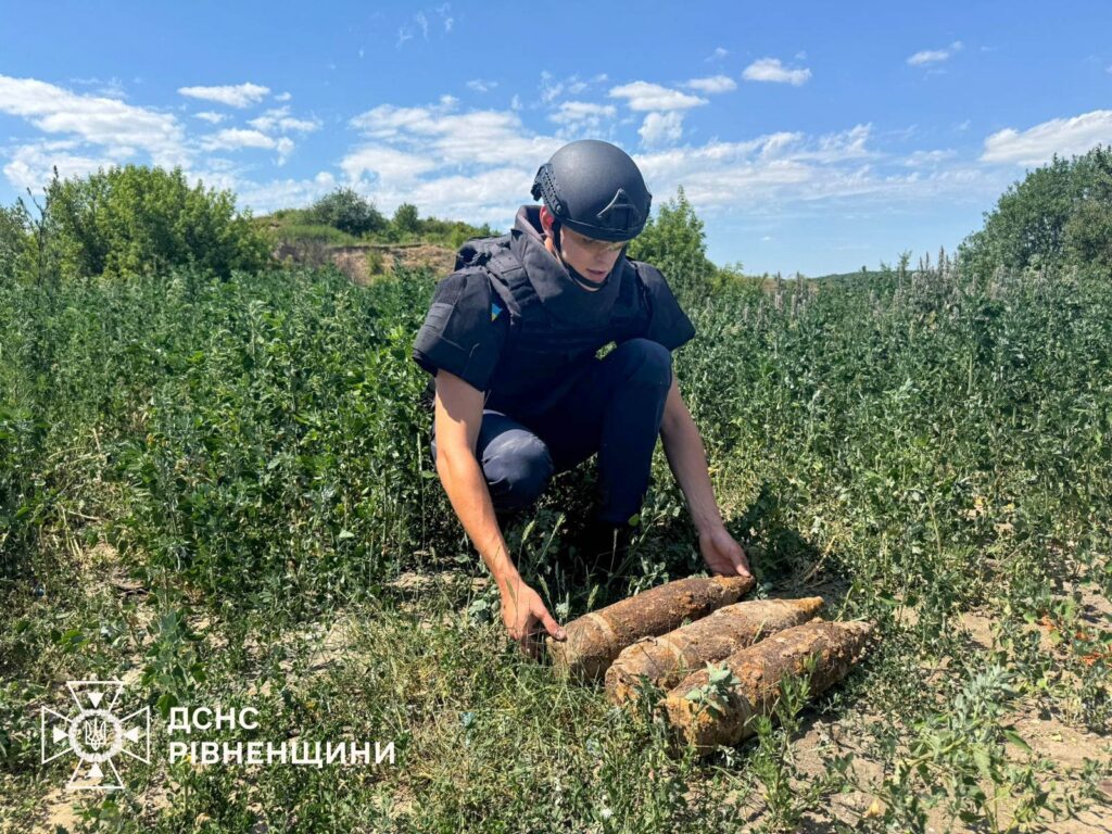 3 артилерійські снаряди піротехніки знищили на Дубенщині 2