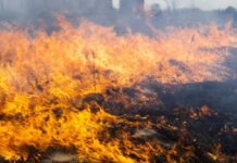 Рятувальники Рівненщини звернулися до людей із важливим попередженням на 23–25 червня важливим попередженням на 23–25 червня