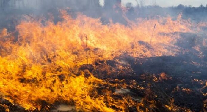 Пожежна небезпека на Рівненщині важливим попередженням на 23–25 червня