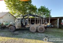 У заказнику Сарненщини незаконно зрізали деревину У заказнику Сарненщини незаконно зрізали деревину