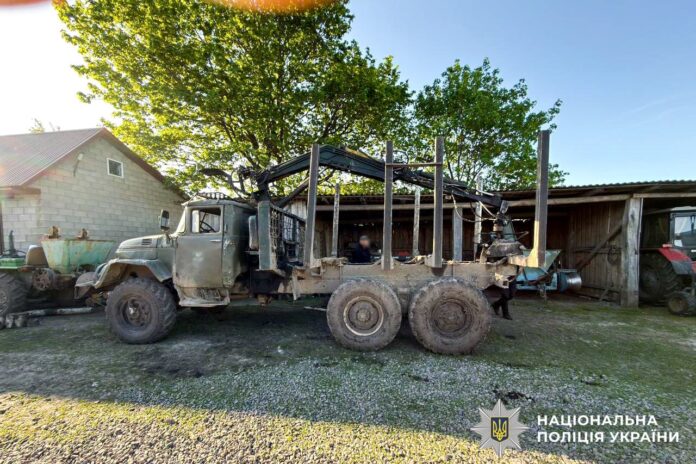 У заказнику Сарненщини незаконно зрізали деревину У заказнику Сарненщини незаконно зрізали деревину