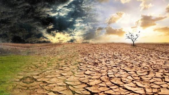 Всесвітній день боротьби з опустелюванням та посухою