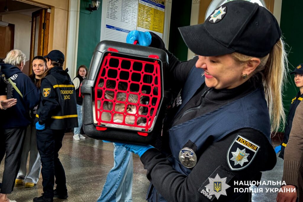 Зібрали життя в кілька торбин: у Рівному зустріли дев'ятий евакуаційний потяг 3 Зустріч переселенців із тваринами на вокзалі Рівно