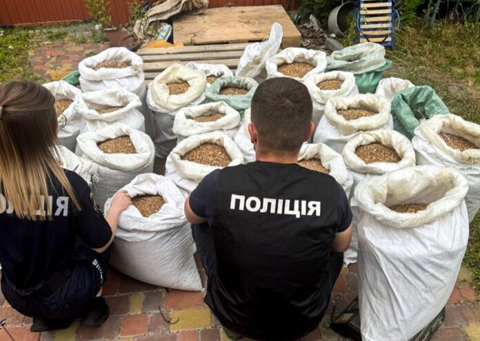 Обшук у цеху Бурштиновий цех на Рівненщині