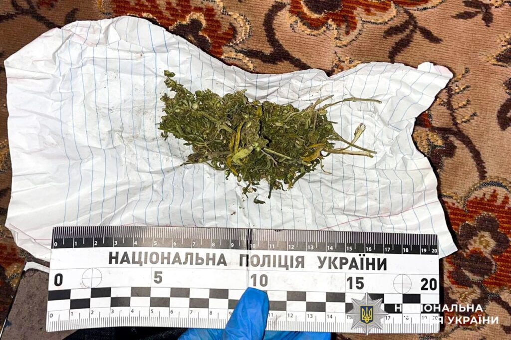 33-річний житель Здолбунова зберігав у себе зброю та наркотики 3