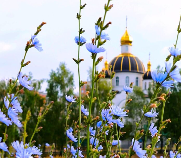 Прогноз погоди на Рівненщині Погода на Рівненщині 4 липня