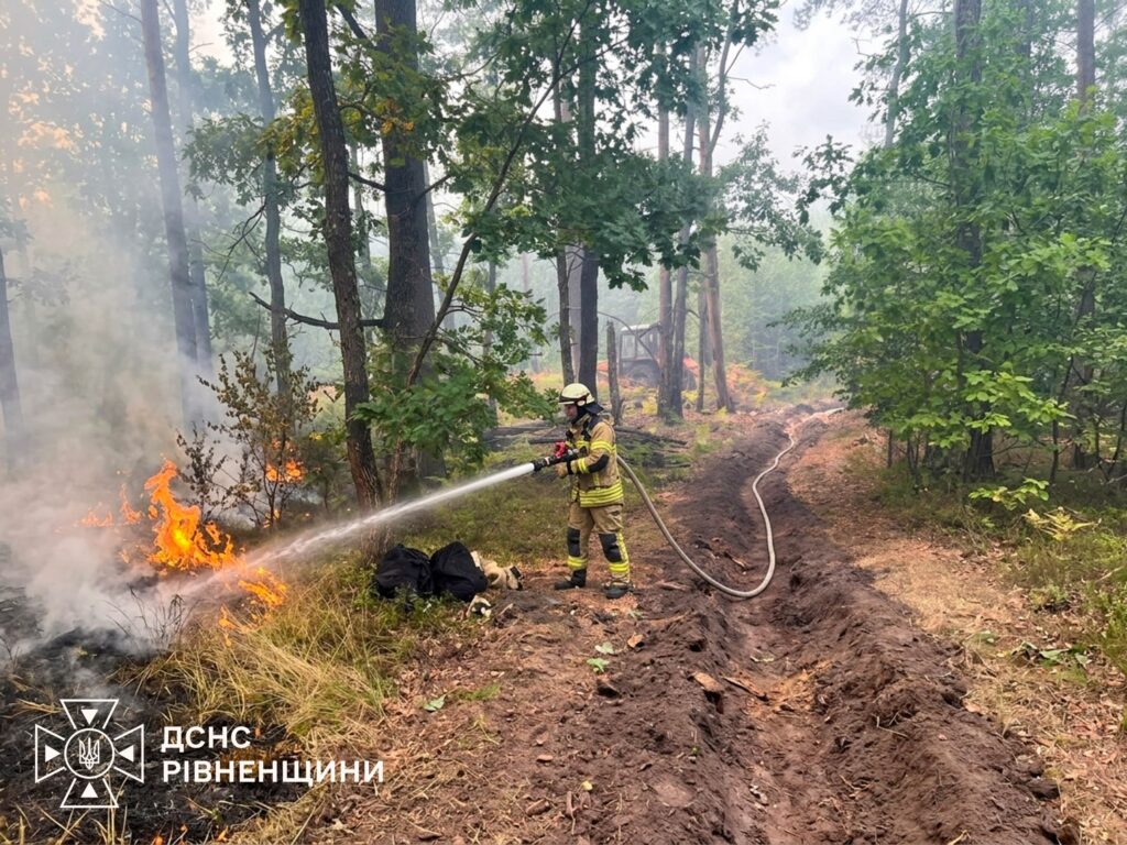 На Рівненщині рятувальники та лісівники ліквідовують лісову пожежу 1
