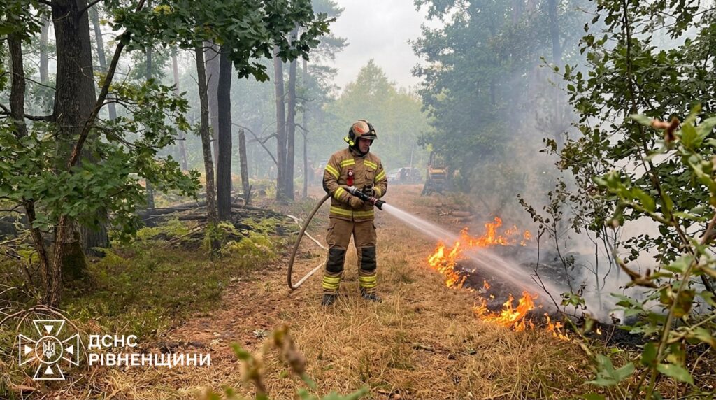 На Рівненщині рятувальники та лісівники ліквідовують лісову пожежу 3