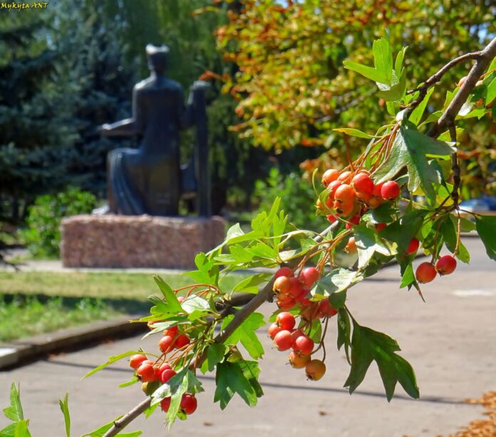Погода рівне серпень прогноз погоди на Рівненщині