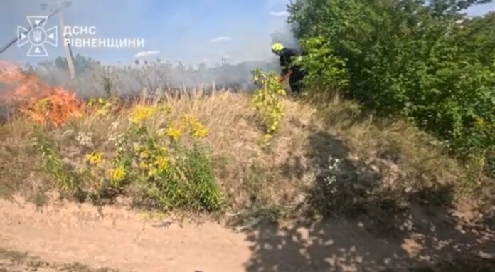 Пожежі в екосистемах рівненщина на Рівненщині масово горить сухостій
