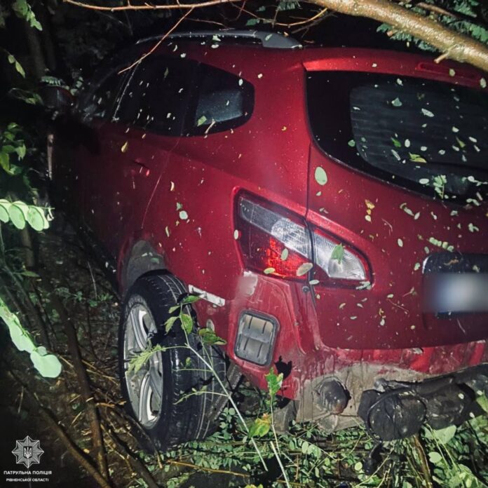 На Рівненщині водійка в'їхала у дерево