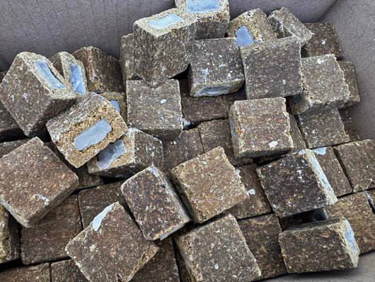 Восени біля населених пунктів на Рівненщині можна буде знайти ліки від небезпечної хвороби 1 Спеціальні приманки з вакциною у лісі