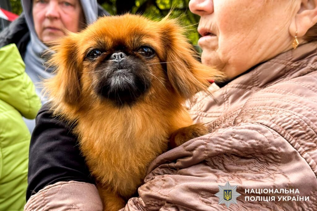 Ворожа атака на Рівне: з’явилися перші фото пошкоджень 6 Перші фото пошкоджень у Рівному 6