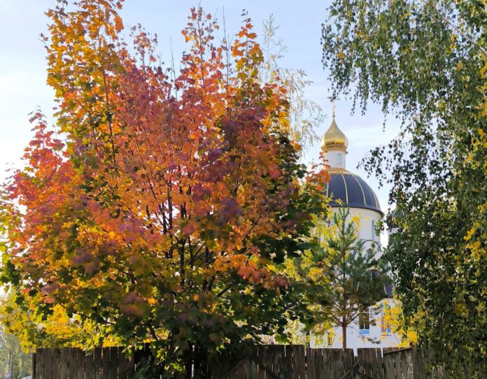 Погода рівне 8 жовтня прогноз погоди на 8 жовтня