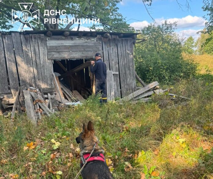 Пошукова операція ДСНС у селі Кримне шукають зниклого пенсіонера