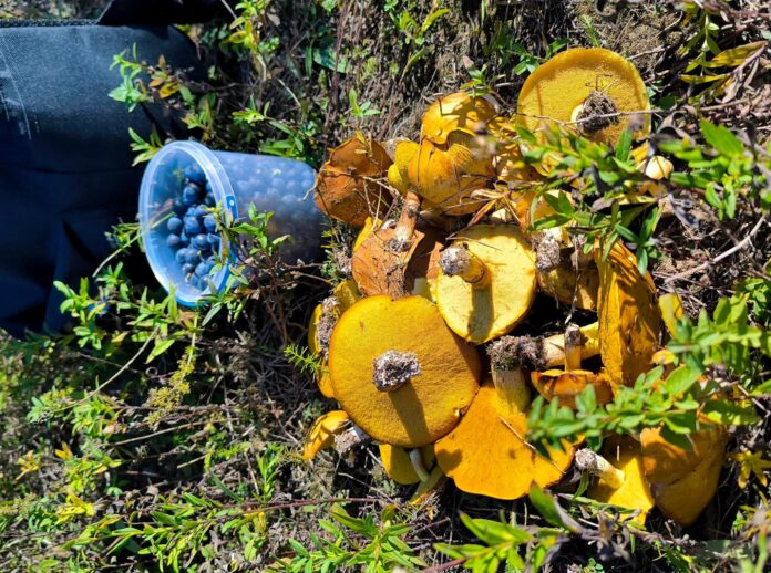 Прогноз погоди на 6 жовтня Рівненщина Погода на Рівненщині 6 жовтня